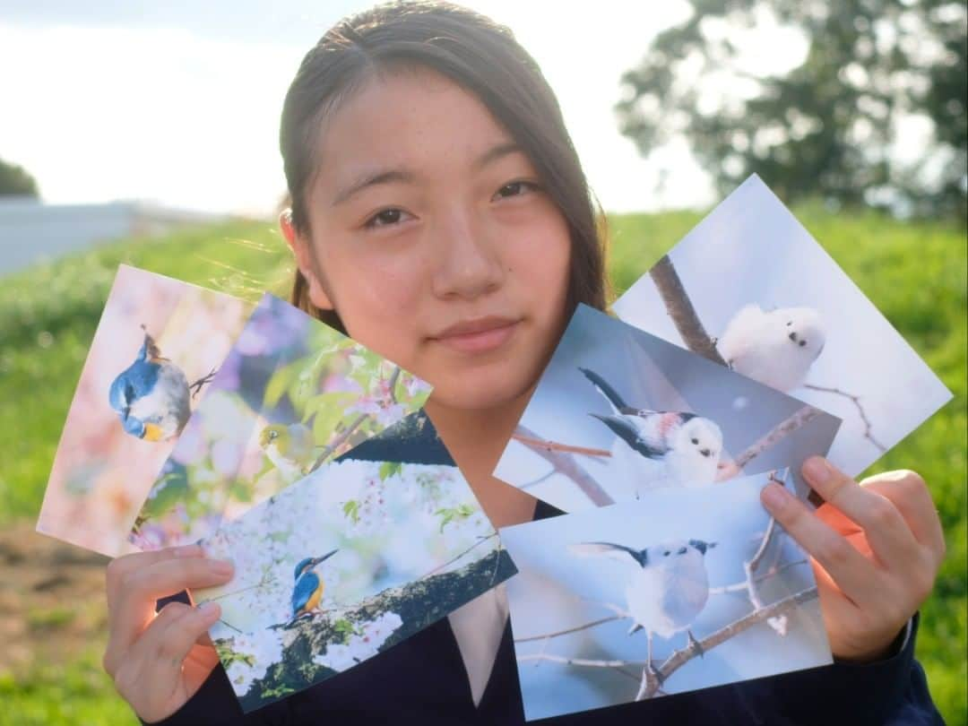 志葉玲のインスタグラム：「中学生動物写真家・藍沙さんの新ポストカードが完成。以下、彼女のフェイスブックより転載。 ーーーーーーーーーーー こんばんは！藍沙です。 私の新しいポストカードが出来ました！しかも、今回は「東京の野鳥」「雪の妖精シマエナガ」の2種類です（それぞれ10枚セット）。ポストカードの売上は私の活動費や機材費に使おうと思いますので、是非ご購入よろしくお願いします🥰 こちら↓からご購入できます✨ https://peraichi.com/landing_pages/view/om7kt ☆藍沙撮影・東京の野鳥写真セット（10枚入り）1000円（税別・送料100円） 中学生動物写真家・藍沙が撮影した、東京の野鳥セットです。カワセミや、チョウゲンボウ、ルリビタキなど10種類の写真が入っています。 ☆藍沙撮影・雪の妖精シマエナガ写真セット（10枚入り）1000円（税別・送料100円） 中学生動物写真家・藍沙が撮影した、北海道のシマエナガ写真10枚セットです。  ＃野鳥　＃ポストカード　＃シマエナガ　＃カワセミ　＃写真」