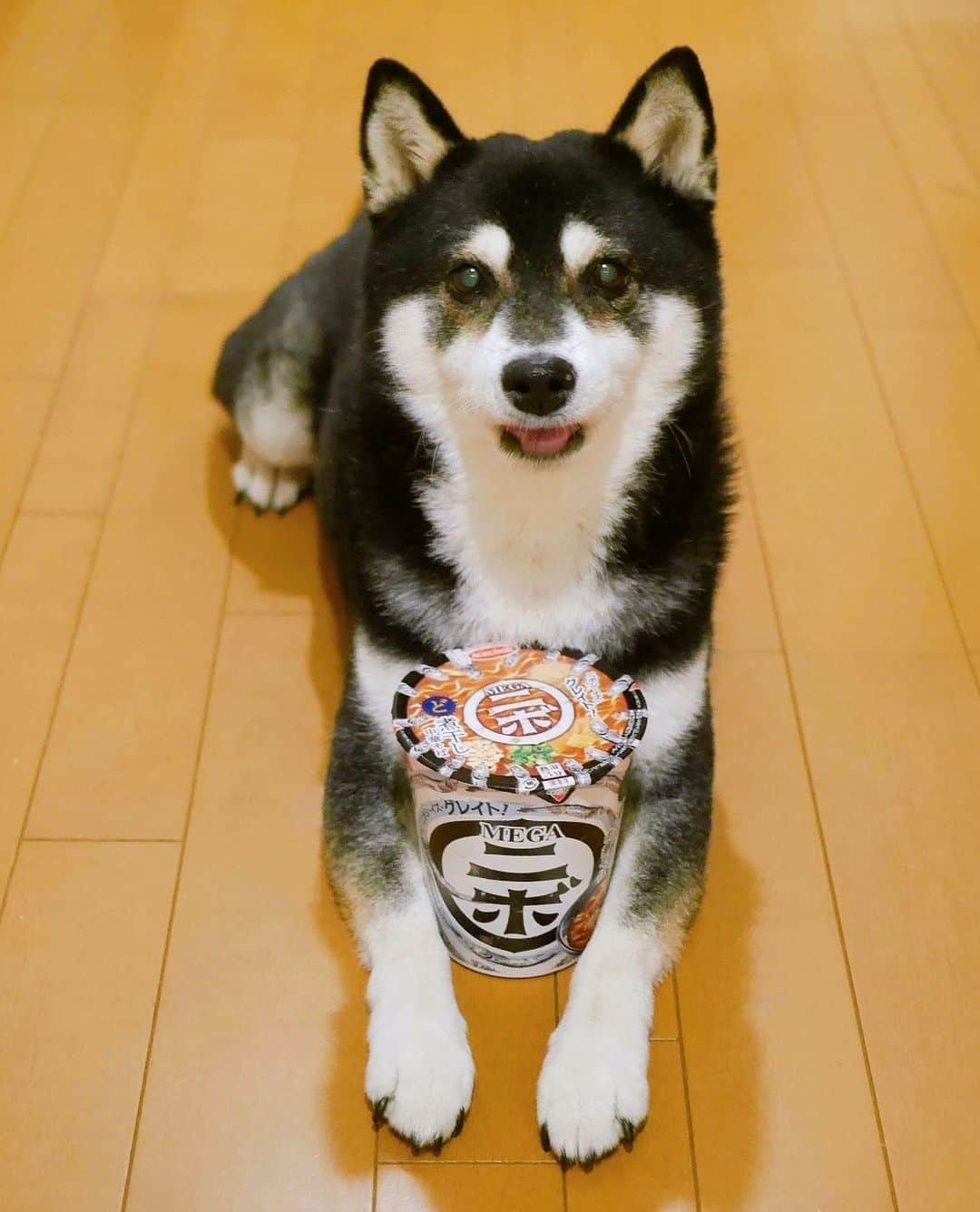 くろのインスタグラム
