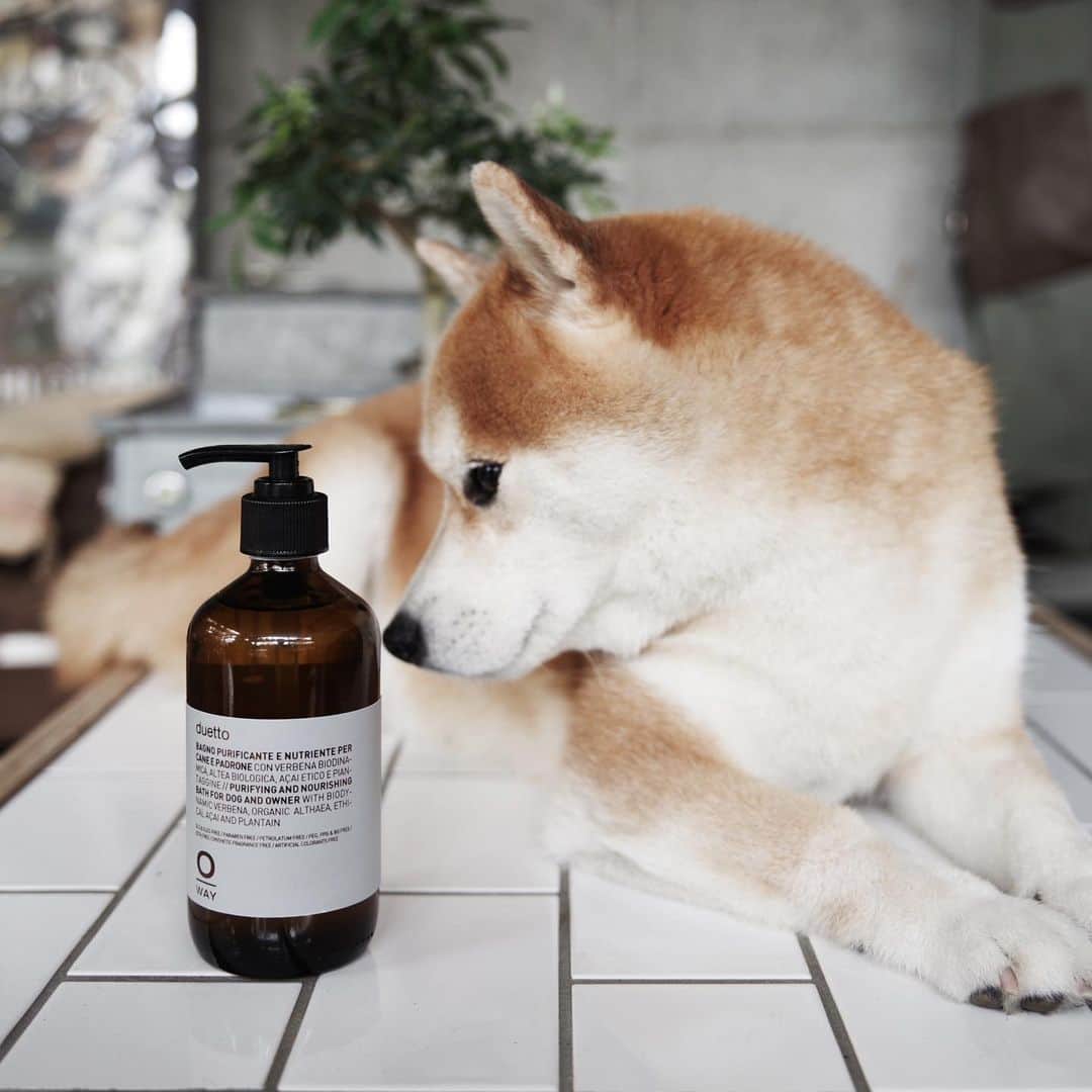 EIGHT DESIGNのグルメインスタ