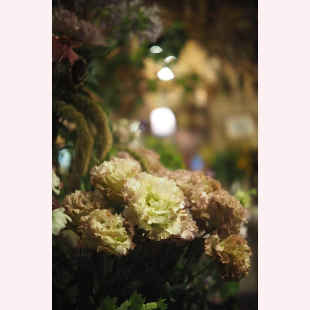 花澄さんのインスタグラム写真 - (花澄Instagram)「久々の花園へ。  macro switar 26mm f1.1 olympus omd5ⅱ  #tokyo#japan#olympus#olympuspen#olympuspenepl8#switar#macroswitar#macroswitar26mm#oldlens#cinelens#オールドレンズ#シネレンズ#oldlens_tokyo#花澄#tokyocameraclub#kazumiphotography」8月2日 19時54分 - textisan