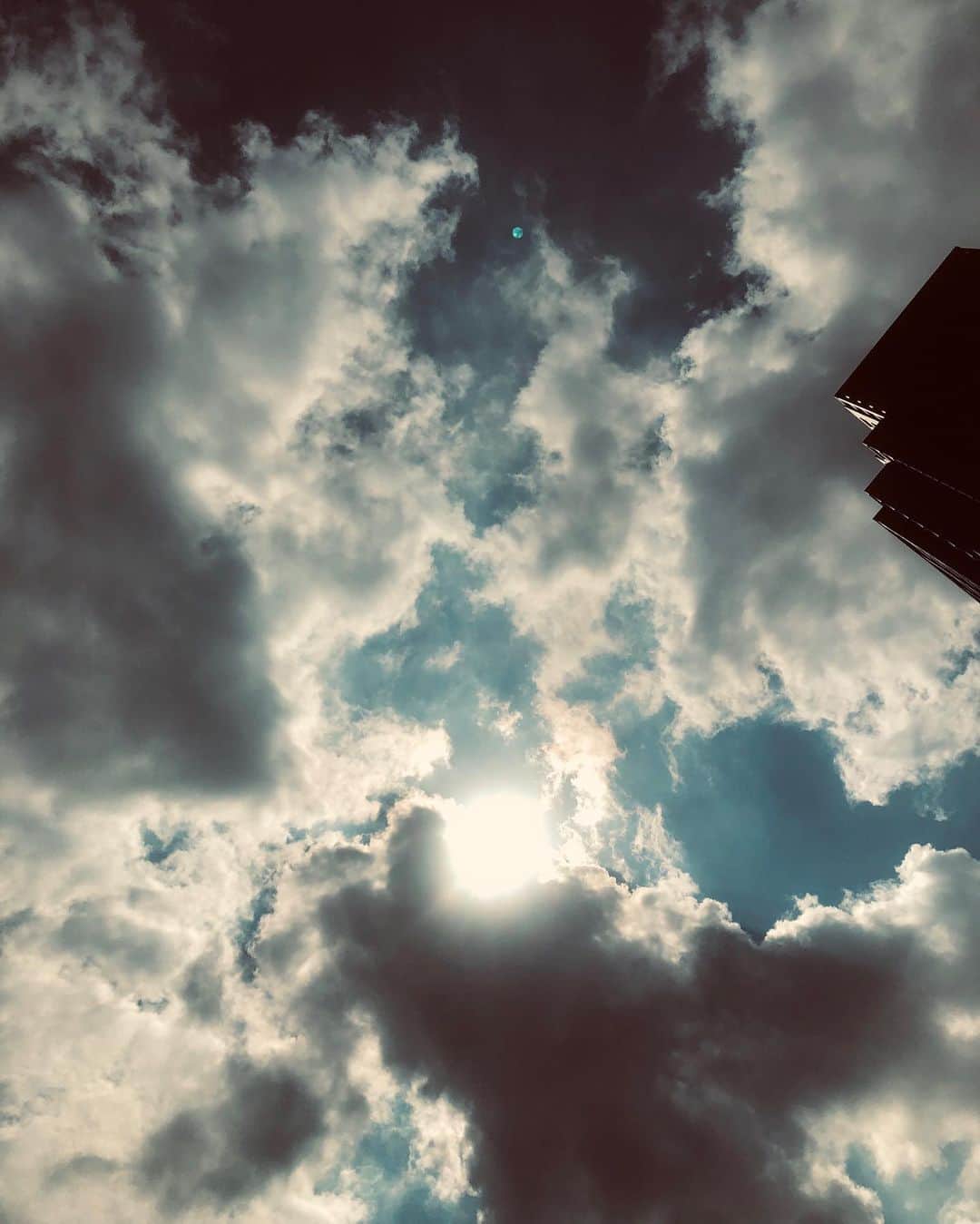植野堀誠さんのインスタグラム写真 - (植野堀誠Instagram)「梅雨あけたかな？今日はどんな日でしたか☀️ のんびり出来た方も、忙しかった方も、皆さんに沢山の幸せが舞い込みますように🕊」8月2日 19時57分 - makotouenobori
