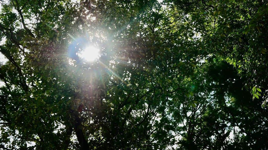 宇野陽介さんのインスタグラム写真 - (宇野陽介Instagram)「その時に、陽の当たる場所にいただけ。日陰に居る時もある。陰陽あるよ。 #陰陽 #光 #太陽 #もうすぐ」8月2日 20時02分 - yorkuno