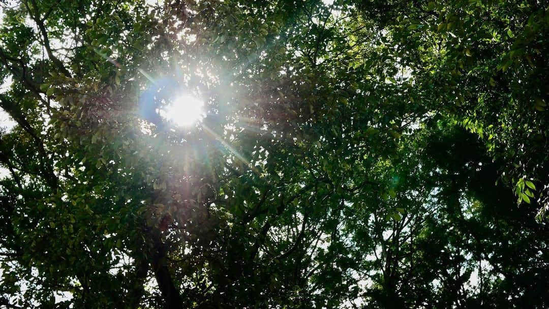 のインスタグラム：「その時に、陽の当たる場所にいただけ。日陰に居る時もある。陰陽あるよ。 #陰陽 #光 #太陽 #もうすぐ」