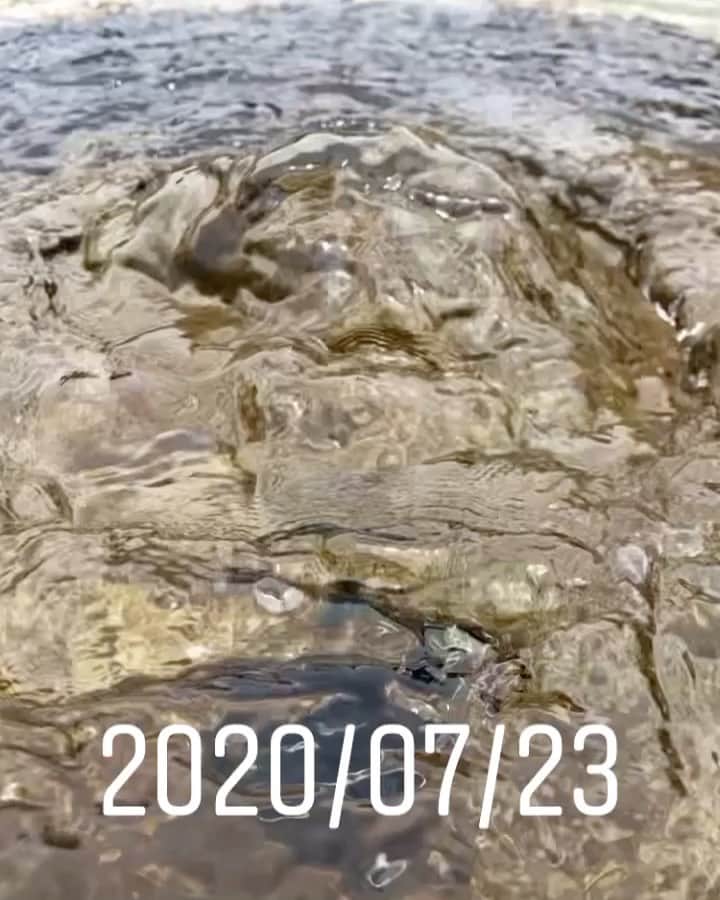 のインスタグラム：「LIVEフォトのアップの仕方、教えてくれた！できたよ。　 @oousagi さんありがとねー！ やっぱり、これ、涼しげ。 7月23日のロケの時に撮ったものです。 明日から ゆ〜わくジャーニー竹田市week！」