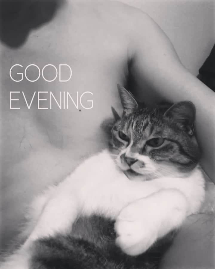 イマイアキノブのインスタグラム：「௫ 猛烈宿酔  #イマイアキノブ #imaiakinobu  #newsensation  #friction」