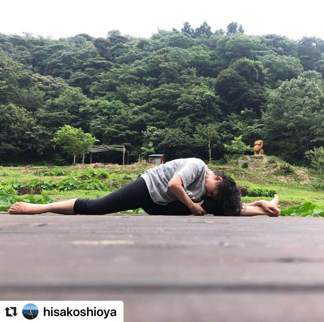 ヒデトレさんのインスタグラム写真 - (ヒデトレInstagram)「#地球とつながろう 😊  💓🌏♻️🤝   #Repost @hisakoshioya with @make_repost ・・・ #ヒデトレ  #しょくやぼ農園  #地球と繋がる   梅雨明け前日のヒデトレ❤️ 身体のメンテナンスは自然と彼の力をかりて^ ^ ぎゅっと硬くなってしまう心と身体を解放する。  細胞レベルで 魂レベルで 自分と向き合って 生命力を上げていく時間。  それは簡単ではないけれど 揺るぎない幸せな時間❤️ ひでさんは❤️地球と仲良く🌏なろうねっと教えてくれる 近所のお兄ちゃんみたいです。  ヒデトレを始める前の自分が前世の自分みたいに感じる…  人は何歳になっても 進化していけるんだ🙌‼︎  ヒデさんいつも ありがとうございます😊」8月2日 20時49分 - hidetore