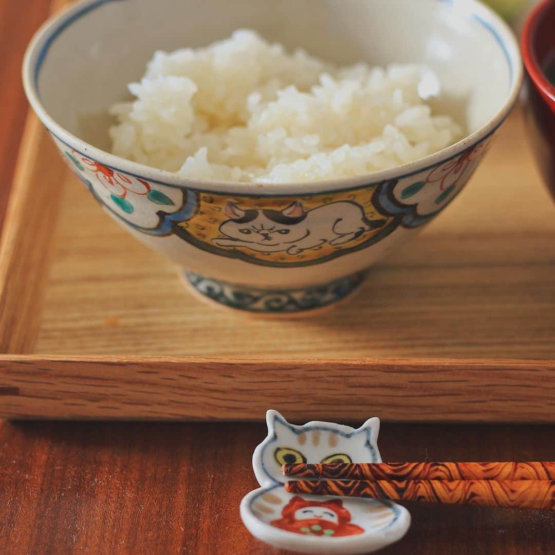 Kaori from Japanese Kitchenさんのインスタグラム写真 - (Kaori from Japanese KitchenInstagram)「麹たっぷり夏野菜もりもり定食。猫ちゃんがひっそりと複数います。 ・ こんばんは。 今日の朝昼ごはん。 久々にキッチンに立ちました。 今日はささっと作れるもの中心。 旨みたっぷりの塩麹と醤油麹のおかげで 手抜きでも美味しかったです。 （麹のレシピはゆみさん @yumipo.a が 　たくさん発信してて参考になる！） きゅうりとトマトは 塩麹とオリーブオイルで和えただけなのに 本当に美味しかったー。 鶏ささみとズッキーニは 醤油麹、料理酒、マヨネーズで炒めただけ。 たくさん野菜が摂れました。 まだまだ野菜がたくさんあるので 時間の許す限り頑張って消費するぞ。 （ふるさと納税の返礼品祭りで 　たくさんの食材が届いた週に限って 　仕事が異常に忙しいという…） 今日もお疲れ様でした。 仕事がひと段落したら薬膳走り書き再開します。 ・ 【おしながき】 白米 わかめとネギのお味噌汁 鶏ささみとズッキーニの醤油麹マヨ和え　目玉焼き添え いんげんの胡麻和え ミニトマトときゅうりの塩麹和え ＊今日は薬膳走り書きお休みします＊ ・ ・ ・ ・ 2020.08.02 Sun Hi from Tokyo! Today’s late brunch:Baked rice, miso soup, stir-fried chicken and zucchini, salty marinated cherry tomato and cucumber, and steamed green beans w/ sesame. ・ ・ ・ ・ ・ #japanesefood #breakfast #朝ごはん #おうちごはん #早餐 #薬膳 #うつわ #自炊 #やちむん #一汁三菜 #松浦コータロー #砂田夏海 #塩麹 #醤油麹」8月2日 20時52分 - coco_kontasu