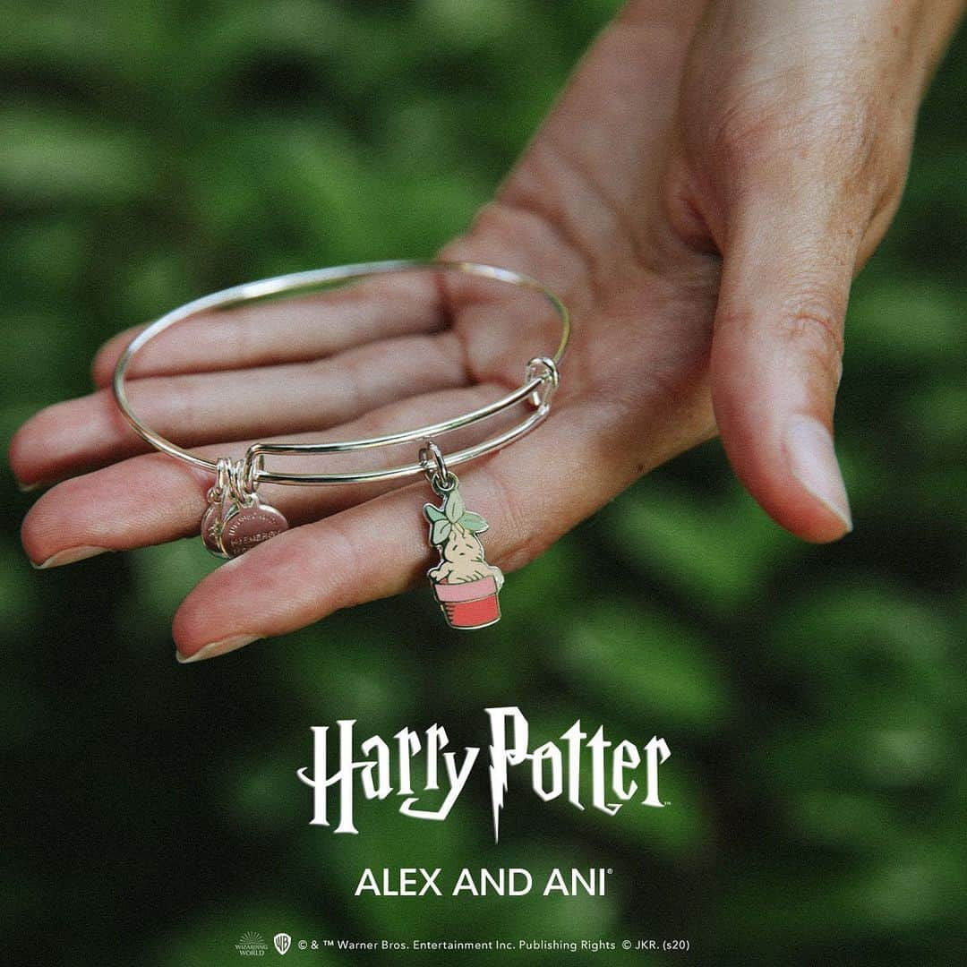 アレックスアンドアニさんのインスタグラム写真 - (アレックスアンドアニInstagram)「Wear the magic of the Mandrake with the NEW limited-edition @harrypotterfilm charm ⚡ link in bio」8月3日 7時16分 - alexandani