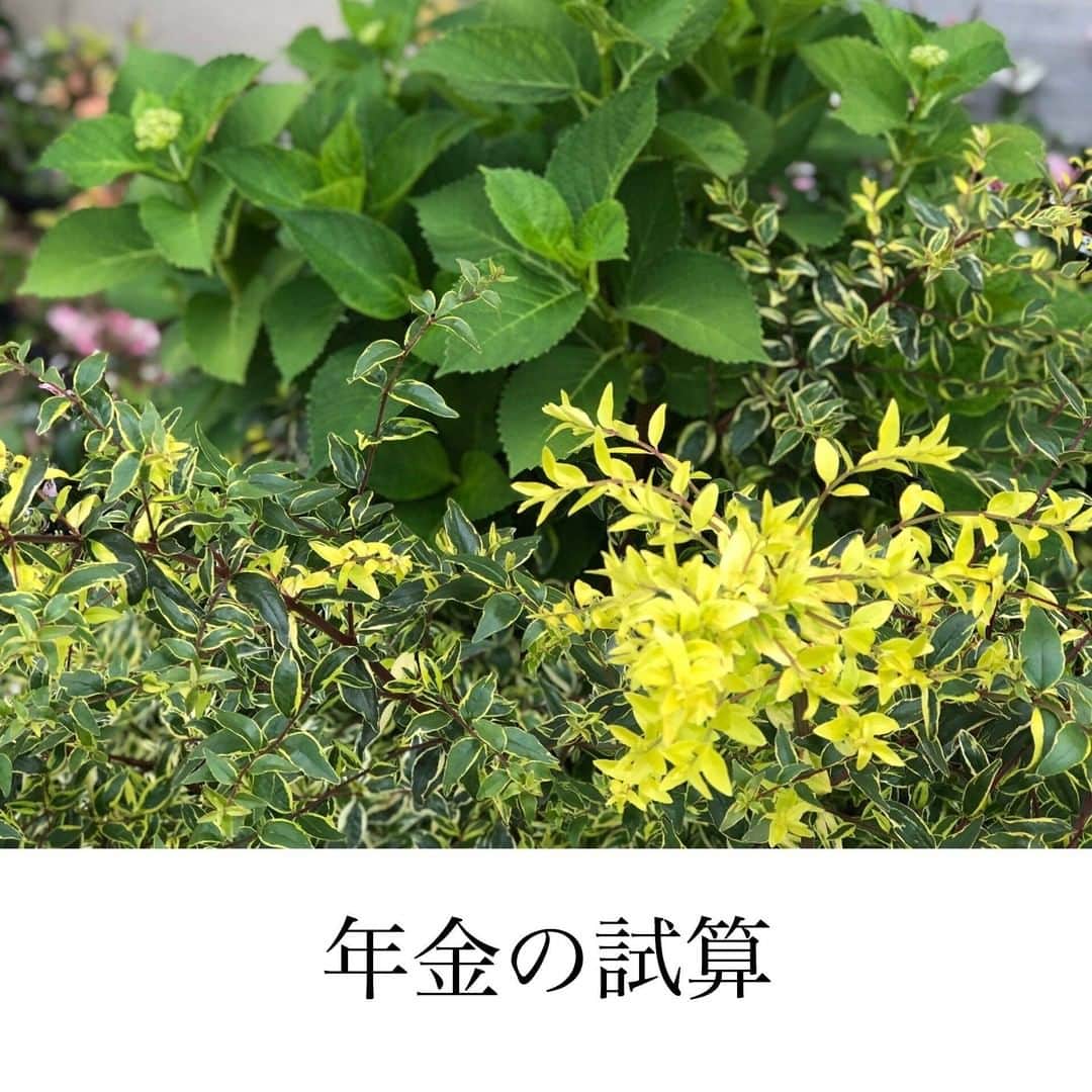 家計診断士のインスタグラム