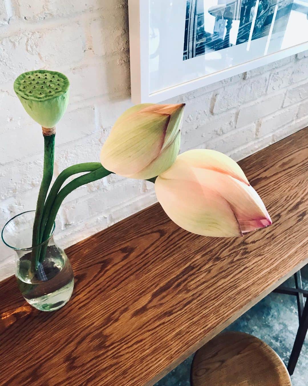 ホテルパシフィック金沢のグルメインスタ