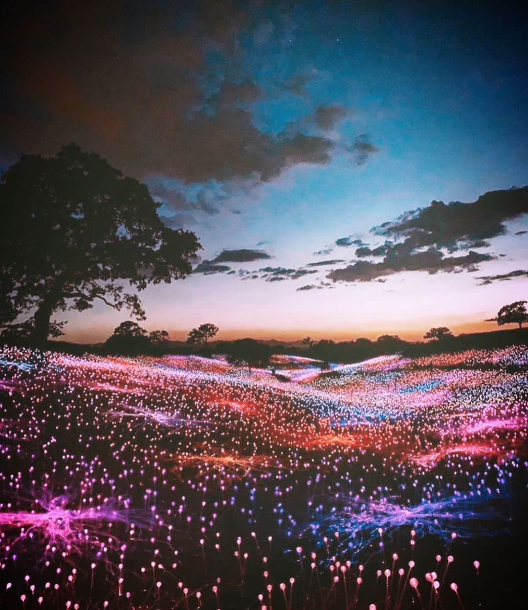 リンジー・モーガンのインスタグラム：「🌞 DayDreaming ✨  @losangelesbucketlist」