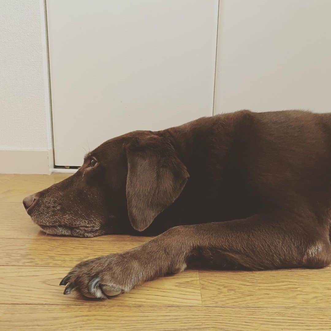 栗田善太郎のインスタグラム：「涼しい場所を探している季節。 熱中症🥵にはお気をつけて！ 今週を乗り切りましょう！」