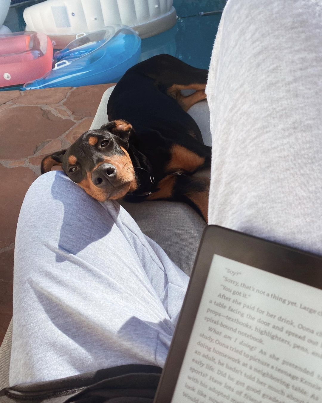 Camden Scottのインスタグラム：「My little reading cuddle buddy」