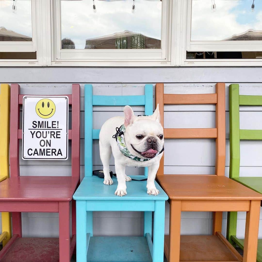 Udon うどんのグルメインスタ