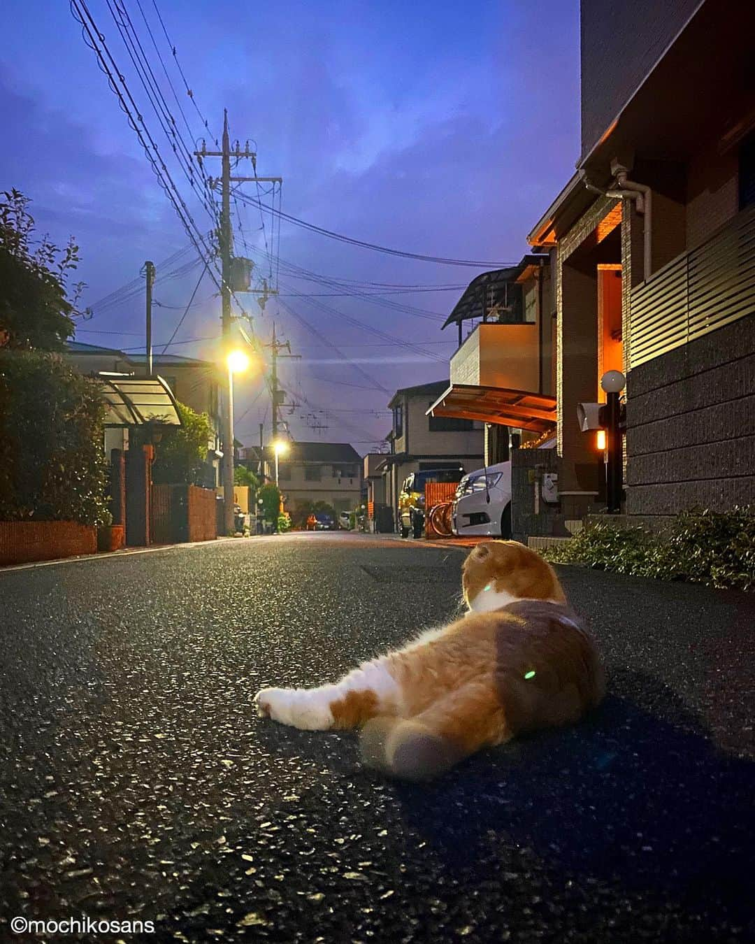 もちさん / mochiのインスタグラム