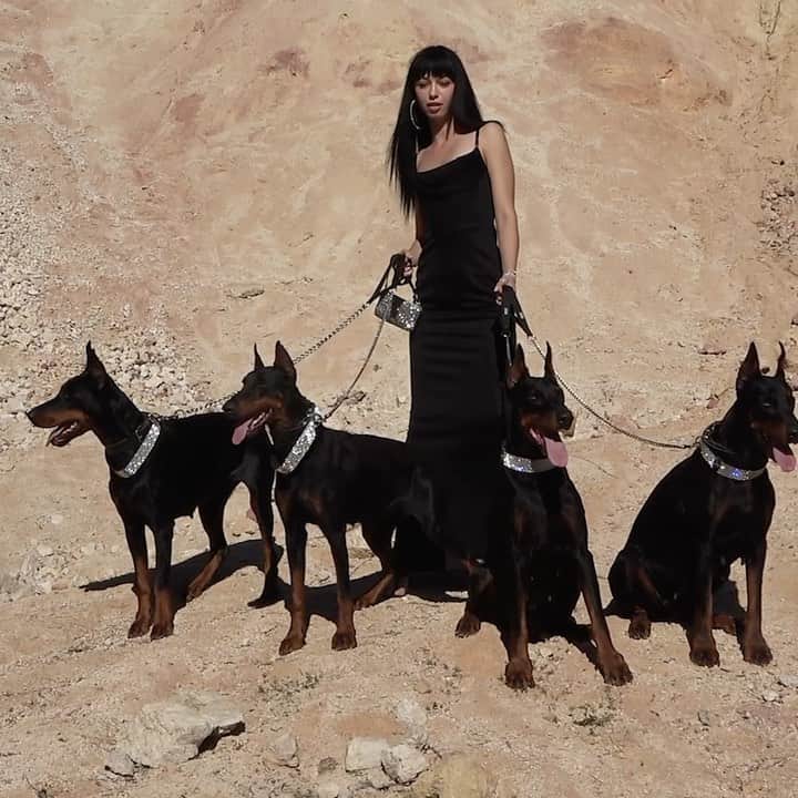 アレキサンダー・ワンのインスタグラム：「Alphas only.」