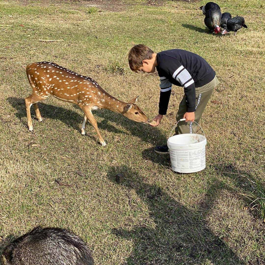 エディンソン・カバーニさんのインスタグラム写真 - (エディンソン・カバーニInstagram)「❤️」8月3日 1時15分 - cavaniofficial21