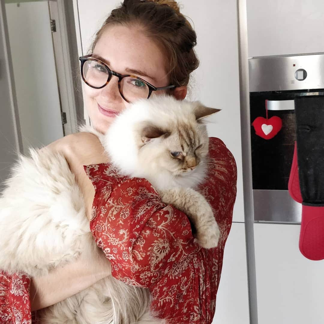 ジェニファー・ピンチズさんのインスタグラム写真 - (ジェニファー・ピンチズInstagram)「Snuggles in the kitchen, with my fluffiest furbaby 😽🧡 @louetta_ragdolls #crazycatlady #ragdolllove #ragdolllover #cutecatclub #ragdollsofinstagram」8月3日 1時09分 - jennifer.pinches