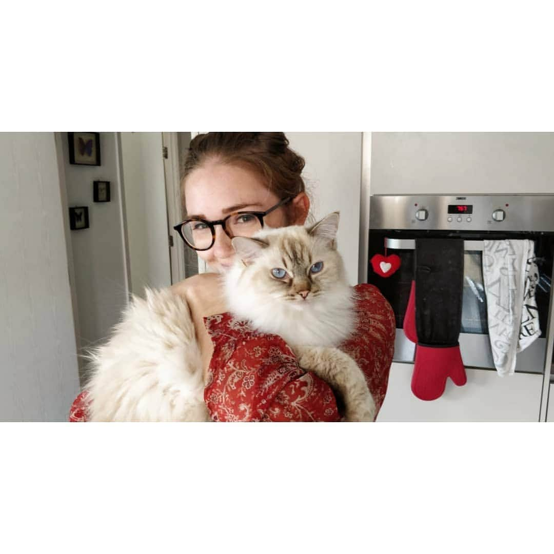 ジェニファー・ピンチズさんのインスタグラム写真 - (ジェニファー・ピンチズInstagram)「Snuggles in the kitchen, with my fluffiest furbaby 😽🧡 @louetta_ragdolls #crazycatlady #ragdolllove #ragdolllover #cutecatclub #ragdollsofinstagram」8月3日 1時09分 - jennifer.pinches