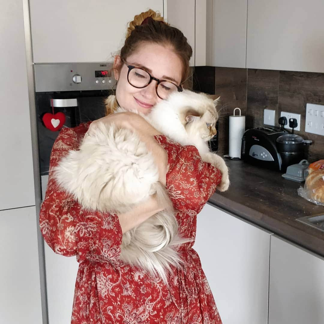 ジェニファー・ピンチズのインスタグラム：「Snuggles in the kitchen, with my fluffiest furbaby 😽🧡 @louetta_ragdolls #crazycatlady #ragdolllove #ragdolllover #cutecatclub #ragdollsofinstagram」