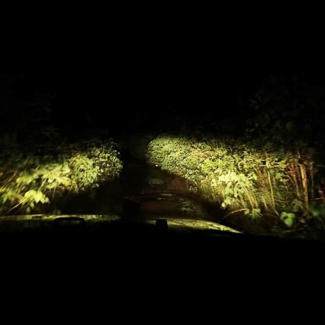 ブライス・ジョンソンのインスタグラム：「Hot on the trail...」