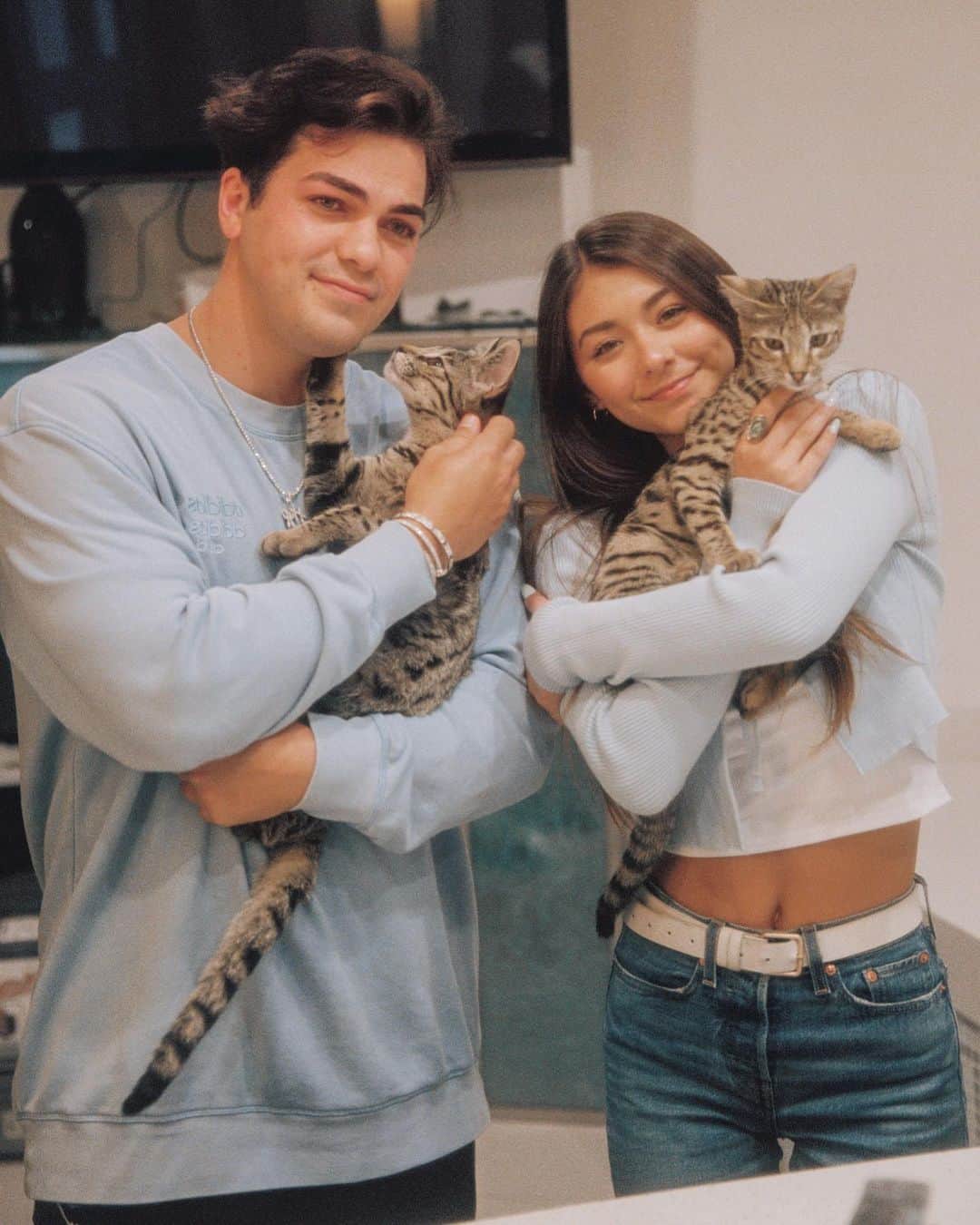 のインスタグラム：「/ CATS or DOGS ? - BOTH?🐶🐱 • i love both ❤️」