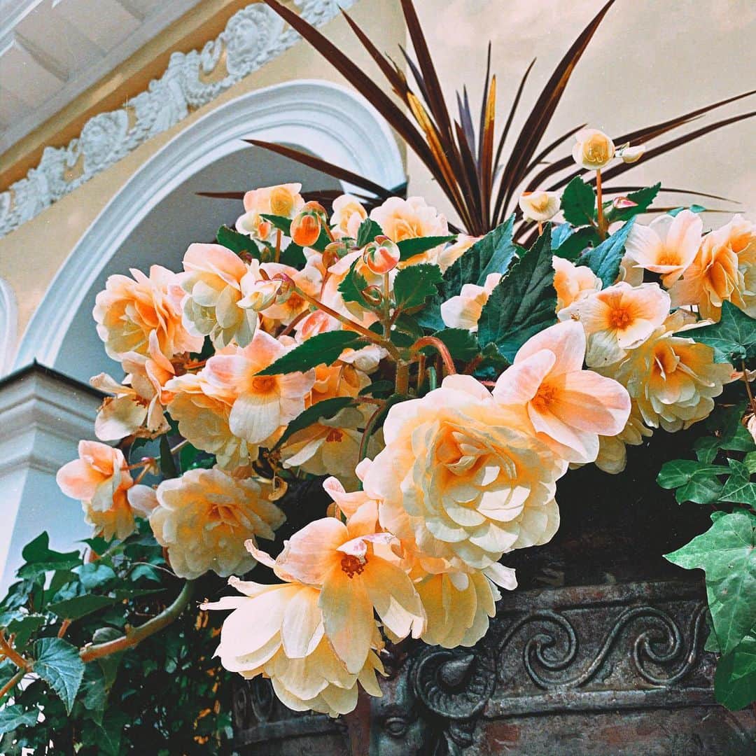 ダリア・イオノワのインスタグラム：「возможность наблюдать 💛 _______________________________________  #spb #saintpetersburg #mariinsky #mariinskytheatre #mariinskyballet #mariinskydancer #vaganovastudents #ballet」