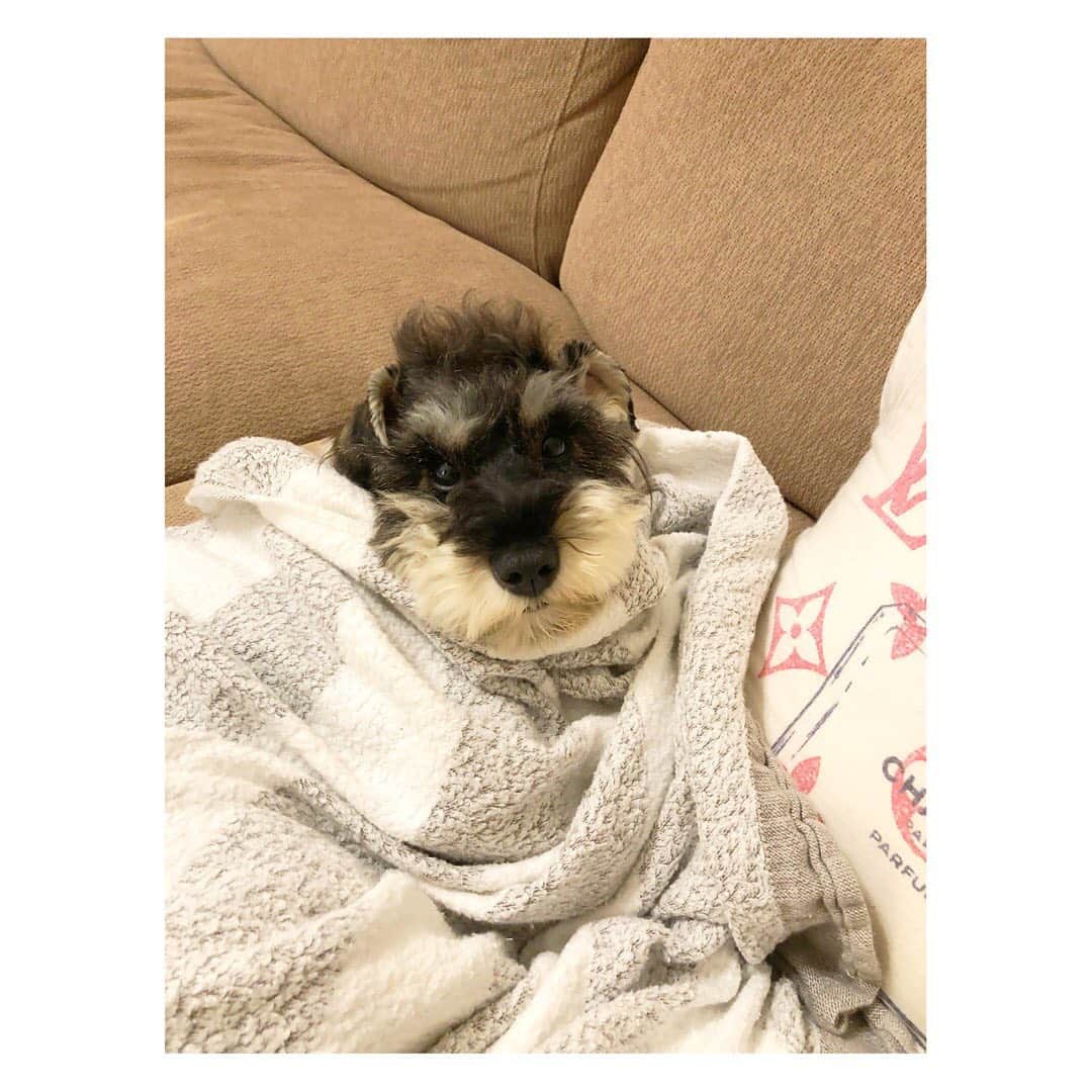 箕田 みなみのインスタグラム