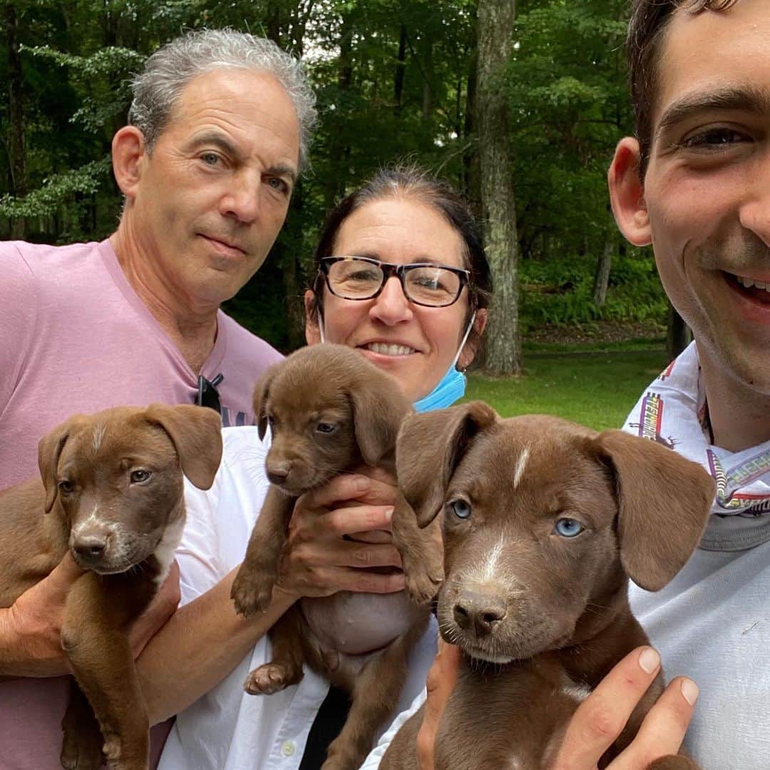 ボビー・ブラウンのインスタグラム：「Rescue Puppies!!!! We couldn’t resist. Meet @5dukes ( blue eyes) @taratersigni @raimarschmitt ( green eyes) and mine and @sdplof (the runt of course) Names to come」