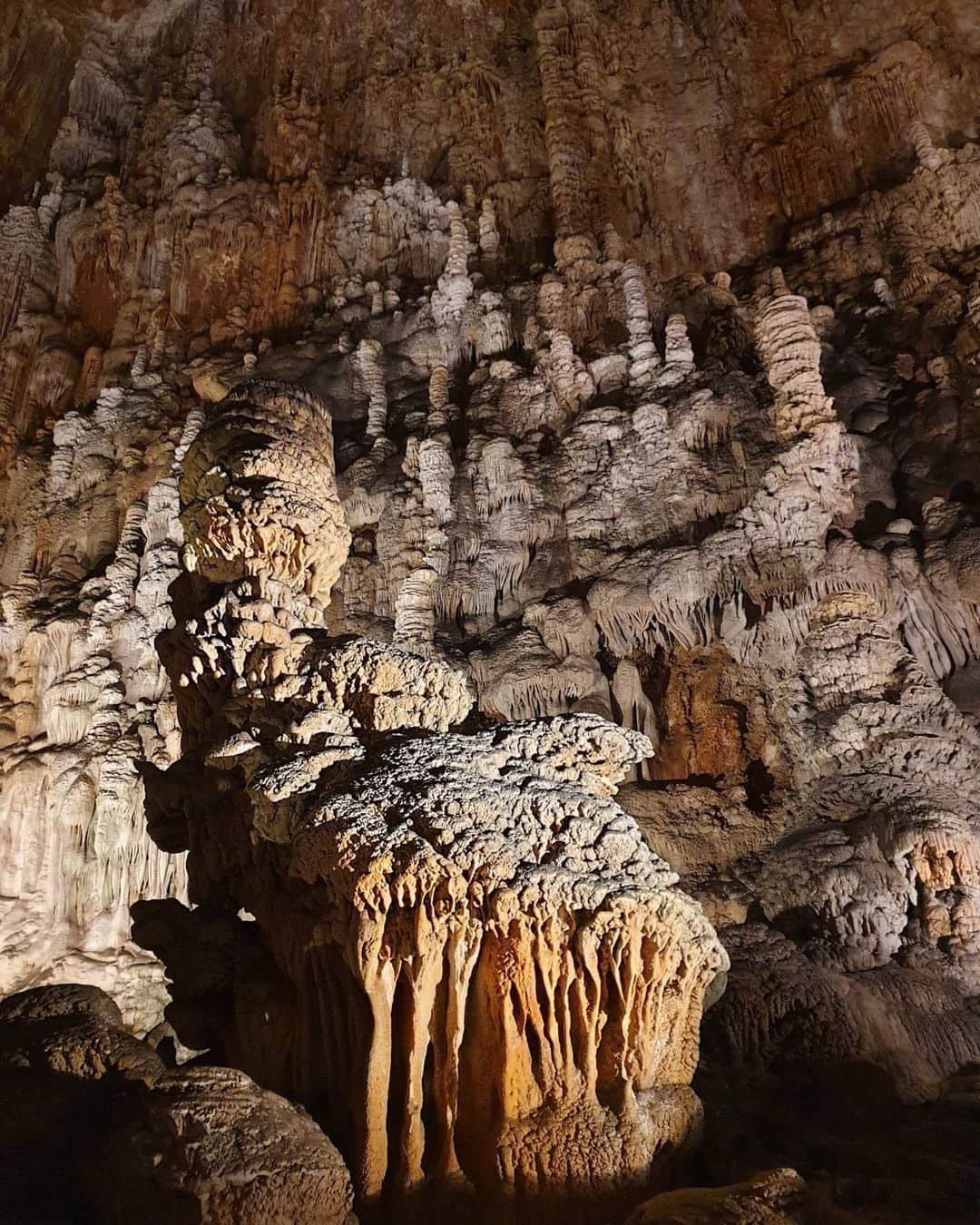 アイリーン・シラグサさんのインスタグラム写真 - (アイリーン・シラグサInstagram)「Grotta Gigante, Trieste 📍 Mi è stato detto che ci entra interamente la Basilica di San Pietro😅  #visittrieste #visititaly #dayoff」8月3日 4時28分 - irenesiragusa