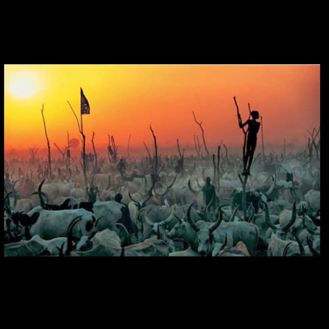 エブロ・ダーデンさんのインスタグラム写真 - (エブロ・ダーデンInstagram)「#BlackIsKing .... has your religion made you look down upon the original people?   Long before these books .... #Dinka #Nuer of South Sudan and Ethiopia ...」8月3日 4時51分 - oldmanebro