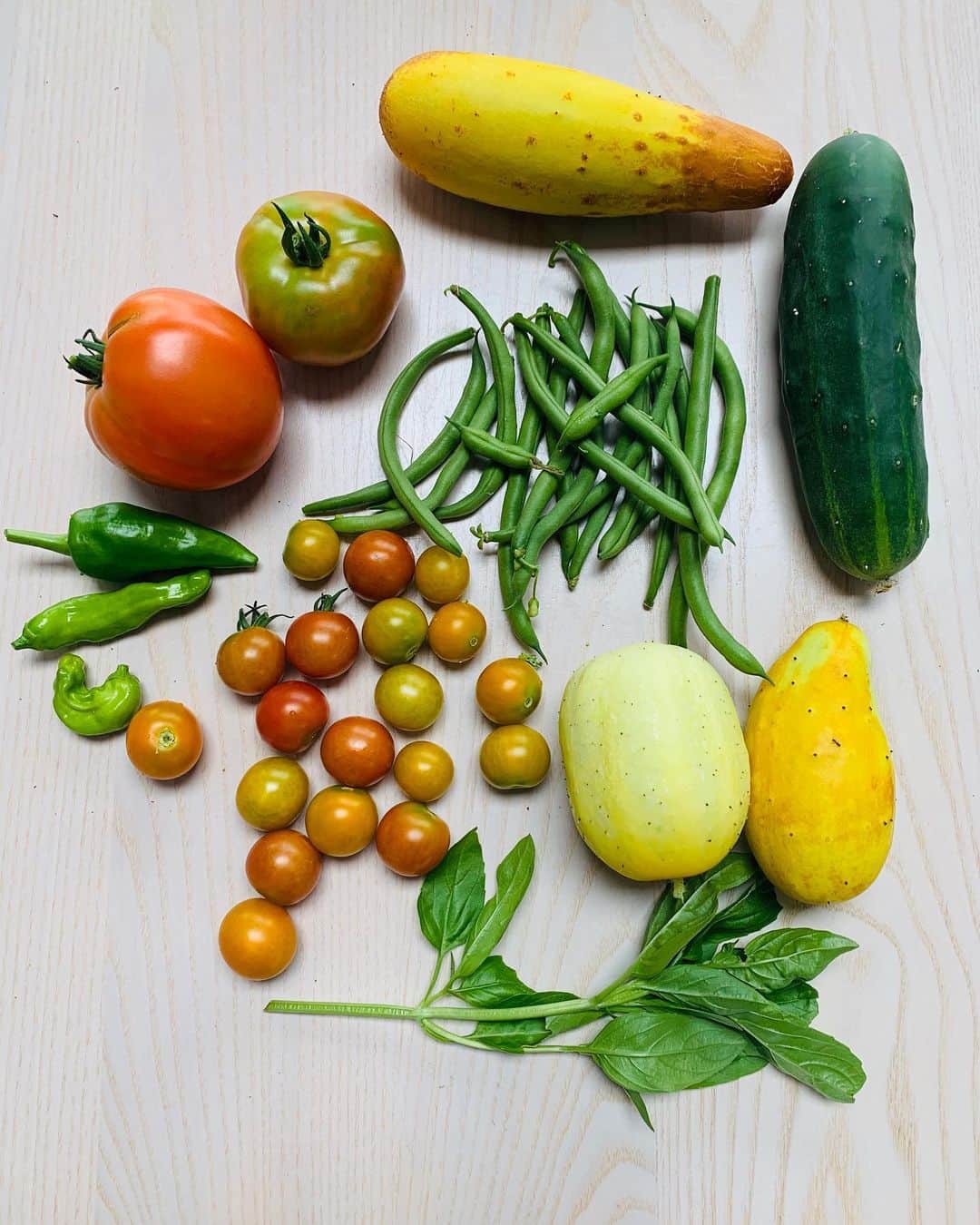 ブリジット・モイナハンさんのインスタグラム写真 - (ブリジット・モイナハンInstagram)「Summertime bounty #garden #veggies #summertime #eathealthyfood」8月3日 5時00分 - bridgetmoynahan