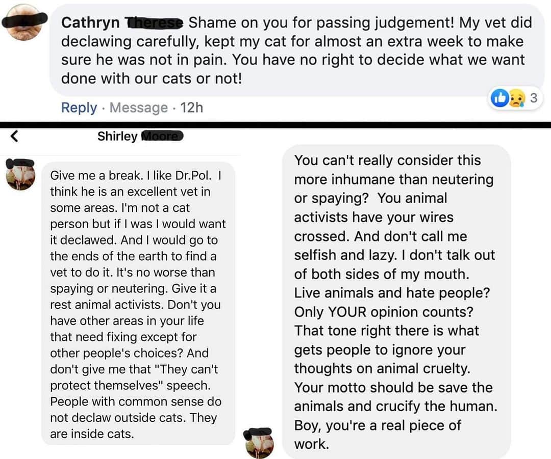 City the Kittyさんのインスタグラム写真 - (City the KittyInstagram)「😾 @thedrpol fans in Michigan are angry that we are shining light on the fact that he and his 4 other vets declaw cats at DR Pol Veterinary Services in Weidman, MI.  According to an employee that works there, last week, they will also do 4 paw declaws. 😾🐾🙀  It's disgusting and getting really old that we are being attacked for trying to protect innocent cats from this barbaric cat cruelty. We are TIRED of this crap.😾 Enough is enough. 🐾 Cathryn cowardly blocked us so we couldn't reply to her comment on our page. Shirley wrote this mean spirited note to us and we wrote this note back to her. "Hey Shirley, thanks for the note and for not being a cat person so you can barbarically harm and mutilate your cat for your own selfish and lazy reasons. Education is a good thing. You were born with a brain so please use it and stop condoning this sadistic cat cruelty. Usually when decent human beings know better, they do better. Learn Shirley learn. Thanks. http://citythekitty.org/declawing-facts-vs-myths-humane-options/ " . Then when we tried to EDUCATE her about the FACTS about declawing she said, "I have my thoughts and opinions and I know my facts" and blocked us. 🙀🐾  In honor of Cathryn and Shirley who are BIG Dr Pol fans, please sign our petition to @natgeowild and @disneyplus and send them a polite email  Disney Plus- responsibility@twdc.com and Nat Geo Wild- pressroom@natgeo.com Ask them why they would have a vet who mutilates and harms innocent cats on their tv channels. 😾 Our petition is on our Instagram bio link. ❤️🐾 Always take the high road and educate.  #Michigan #DrPol #theincredibledrpol #StopDeclawing #cats」8月3日 5時17分 - citythekitty