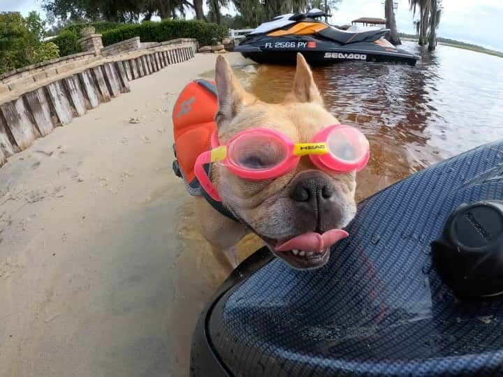 のインスタグラム：「We Live It 🤙🏽 #GoProLiveIt」