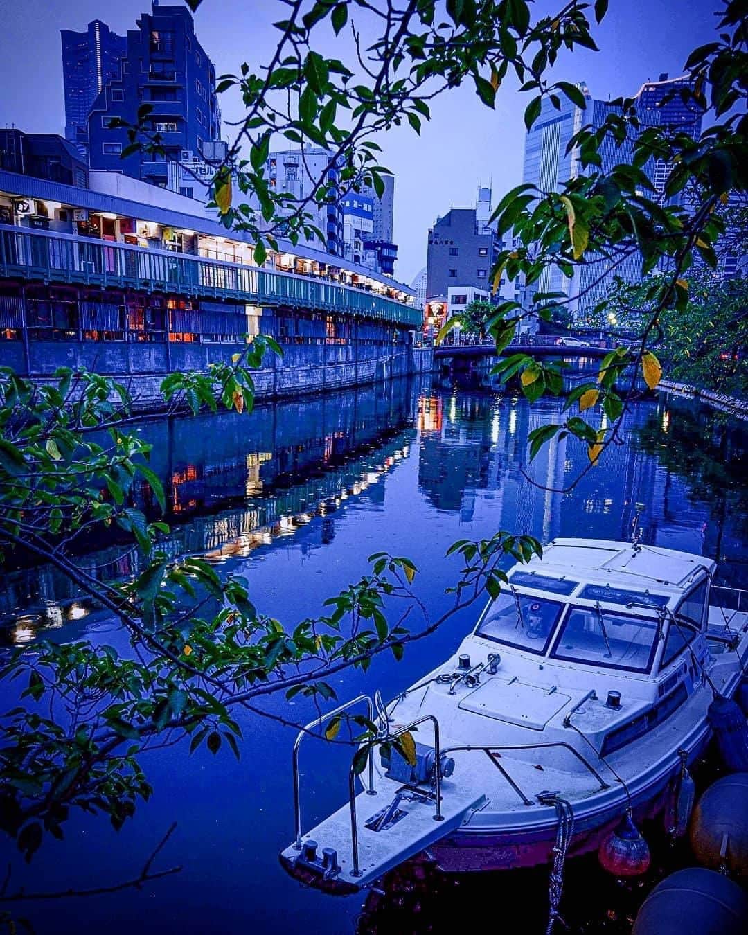 のインスタグラム：「Twilight along the Ōoka River.﻿ Photo: @osmmr1﻿ #myyokohama ﻿ ﻿ #yokohama #darlingescapes #beautifuldestinations #artofvisuals #somewheremagazine #discoverglobe #travelawesome #passionpassport #lovejapan #explorejapan #japanlife #japanfocus #japan_vacations #japanrevealed #よこはま #ヨコハマ #横浜」