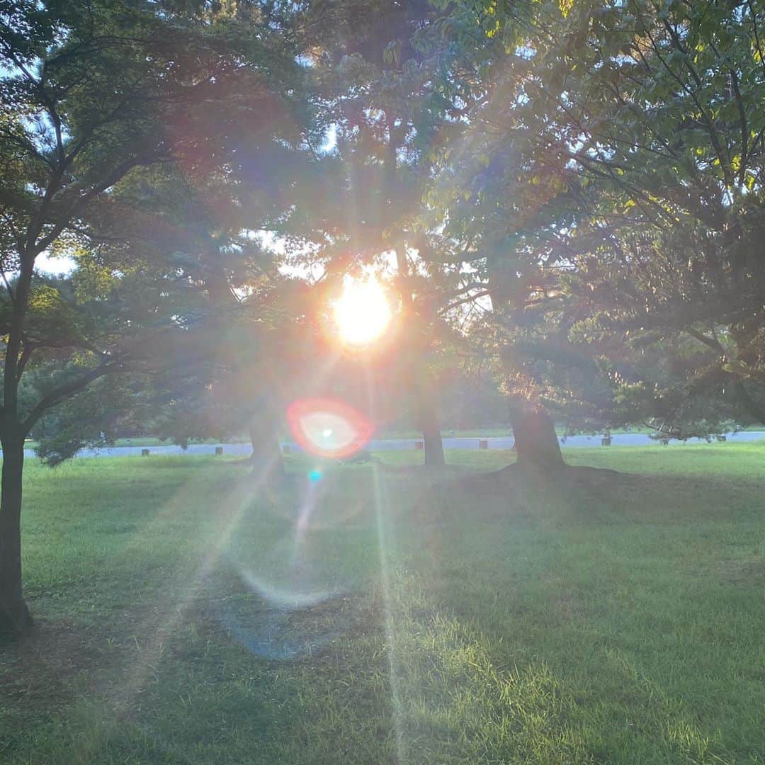 青山有紀さんのインスタグラム写真 - (青山有紀Instagram)「笑ってるみたいな光の写真撮れた✨✨✨ 1人だけの時間を過ごすことを日常的に大切にしてます。だいすきな場所でアーシング✨気持ちよすぎて周りとの境目が溶けて自然と「無」になる💛✨」8月17日 18時11分 - yukiaoya