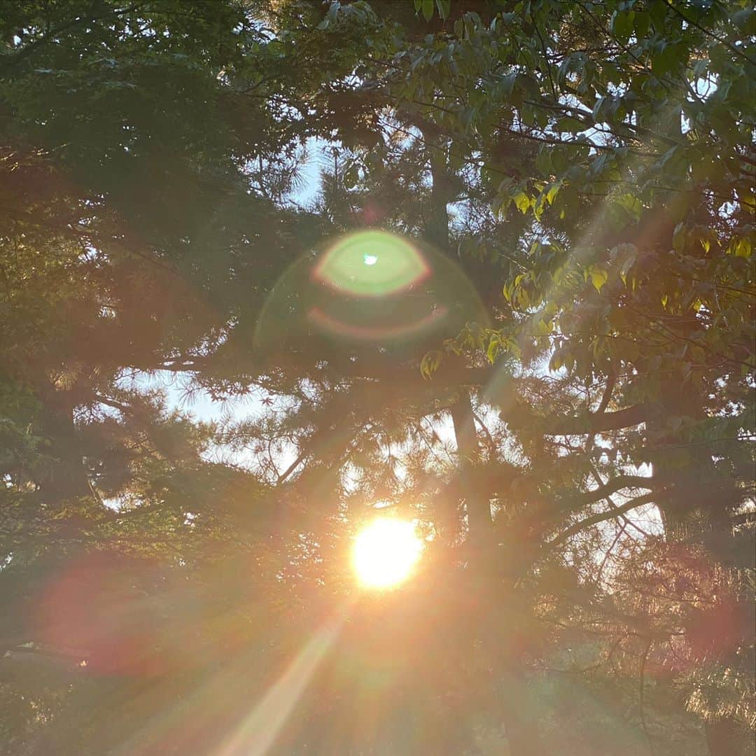 青山有紀さんのインスタグラム写真 - (青山有紀Instagram)「笑ってるみたいな光の写真撮れた✨✨✨ 1人だけの時間を過ごすことを日常的に大切にしてます。だいすきな場所でアーシング✨気持ちよすぎて周りとの境目が溶けて自然と「無」になる💛✨」8月17日 18時11分 - yukiaoya