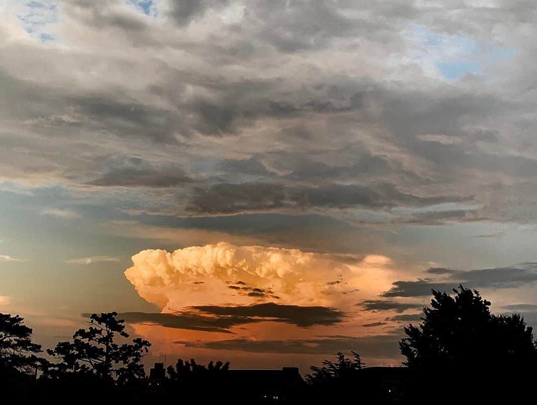 伊勢谷友介のインスタグラム：「Magic hours.」