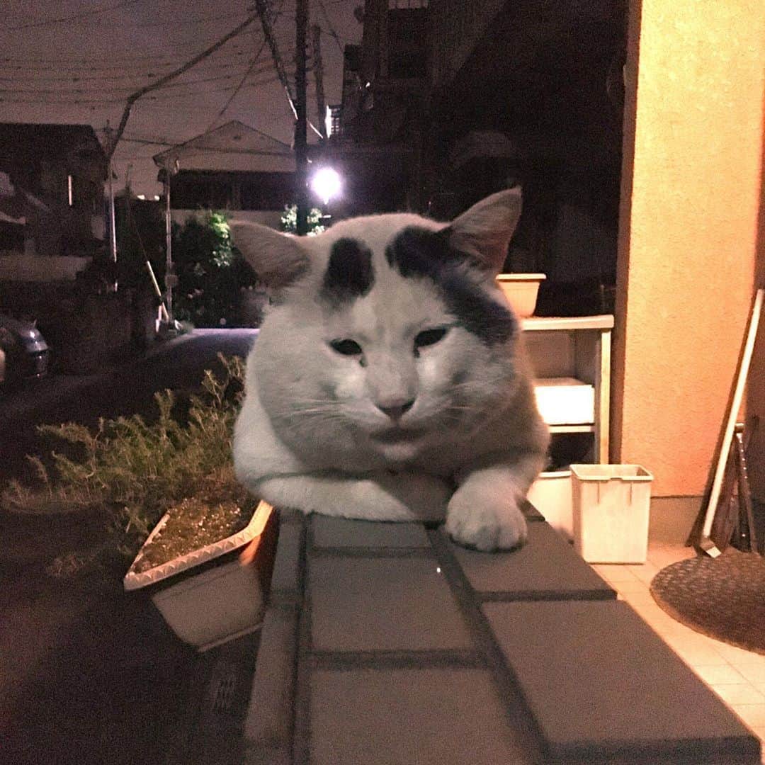 Kachimo Yoshimatsuのグルメインスタ