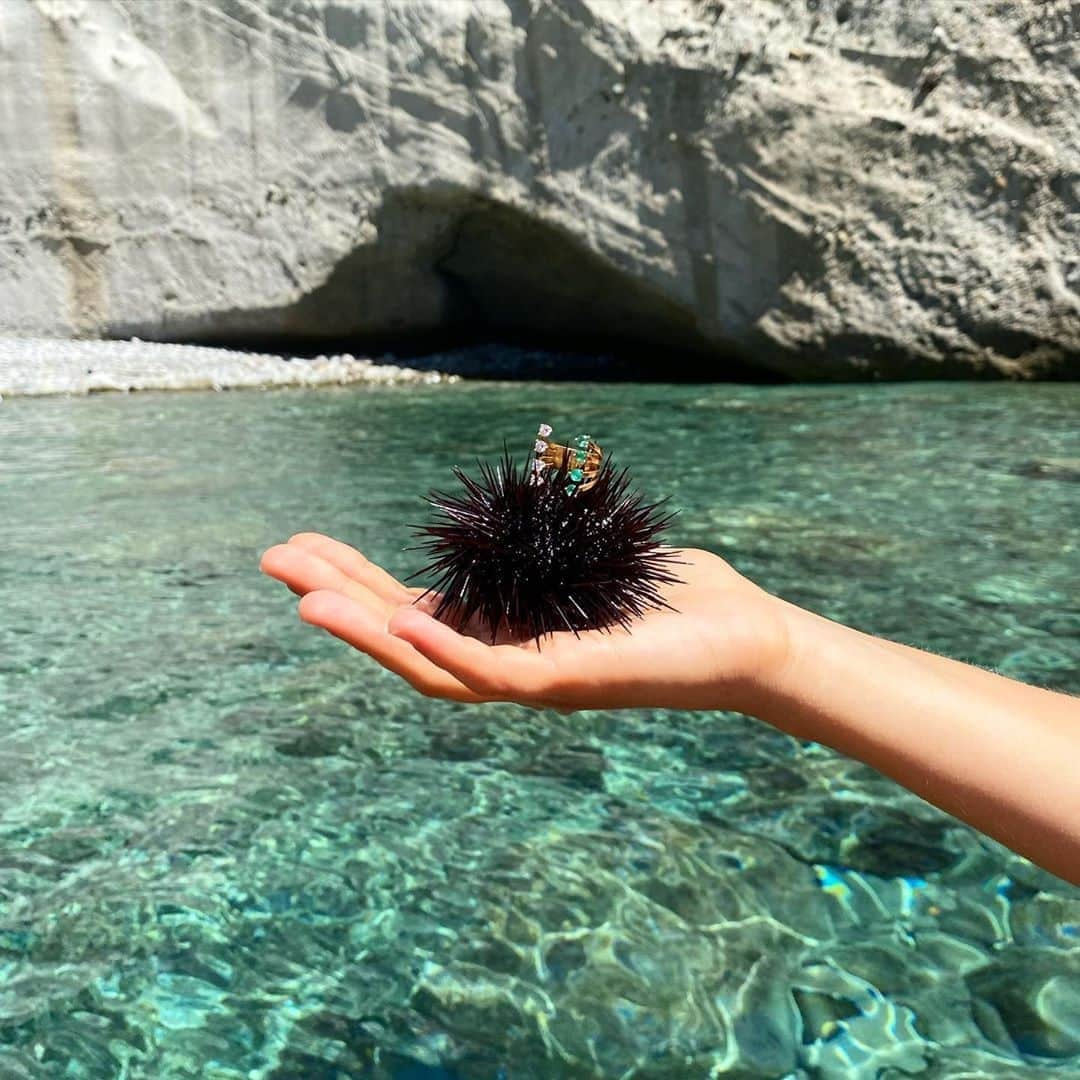 デルフィナデレトレズさんのインスタグラム写真 - (デルフィナデレトレズInstagram)「Seaurchin for gold ✨  #delfinadelettrez  #islandlife  #delfinarium」8月17日 18時59分 - delfinadelettrez