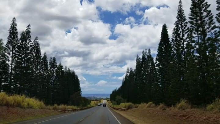 瀬川慶のインスタグラム：「To the North! One of my favorite road view. Enjoy Hawaii 🤙 お気に入りの道の一つ、バーチャル夏休みドライブどうぞ🤗  #hawaii #aloha #northshore #drive #luckywelivehawaii #haleiwa #oahu #ハワイ　#アロハ　#ノースショア　#ドライブ　#オアフ　#ハワイ在住　#ハワイ好き　#コロナに負けるな　#バーチャルドライブ　#瀬川慶」