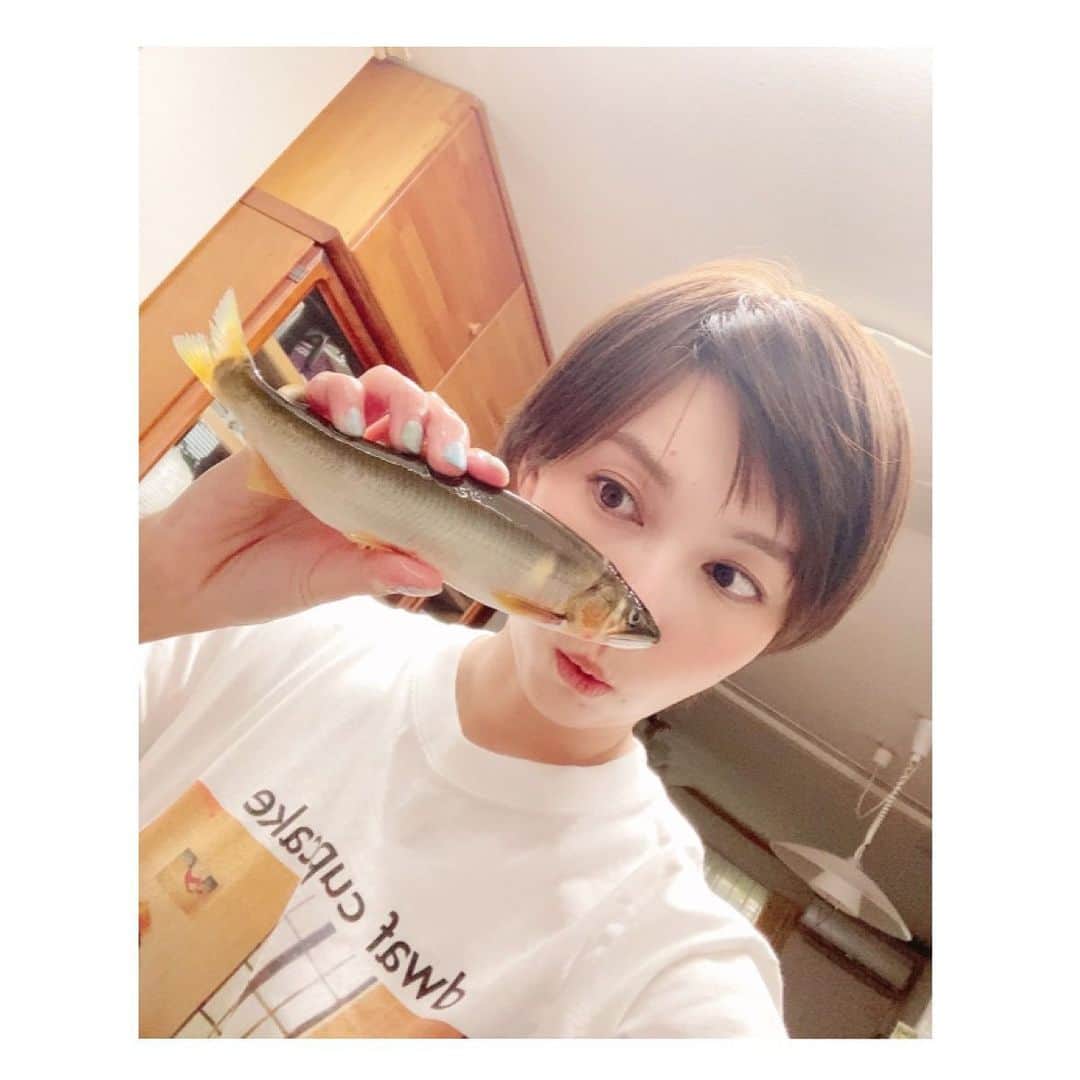 藤谷香々のインスタグラム：「根尾川の鮎ちゃん 金色に輝いてて めっちゃきれい♡♡ . .  厚みがあって鮎独特の 味もほどよく おいしすぎた〜♡ . . . 今年は色んな川の 鮎を食べ比べて 自分好みの味が 再確認できて満足♪ . . .  #根尾川 #岐阜県 #鮎釣り #鮎 #釣り #鮎釣りガール」