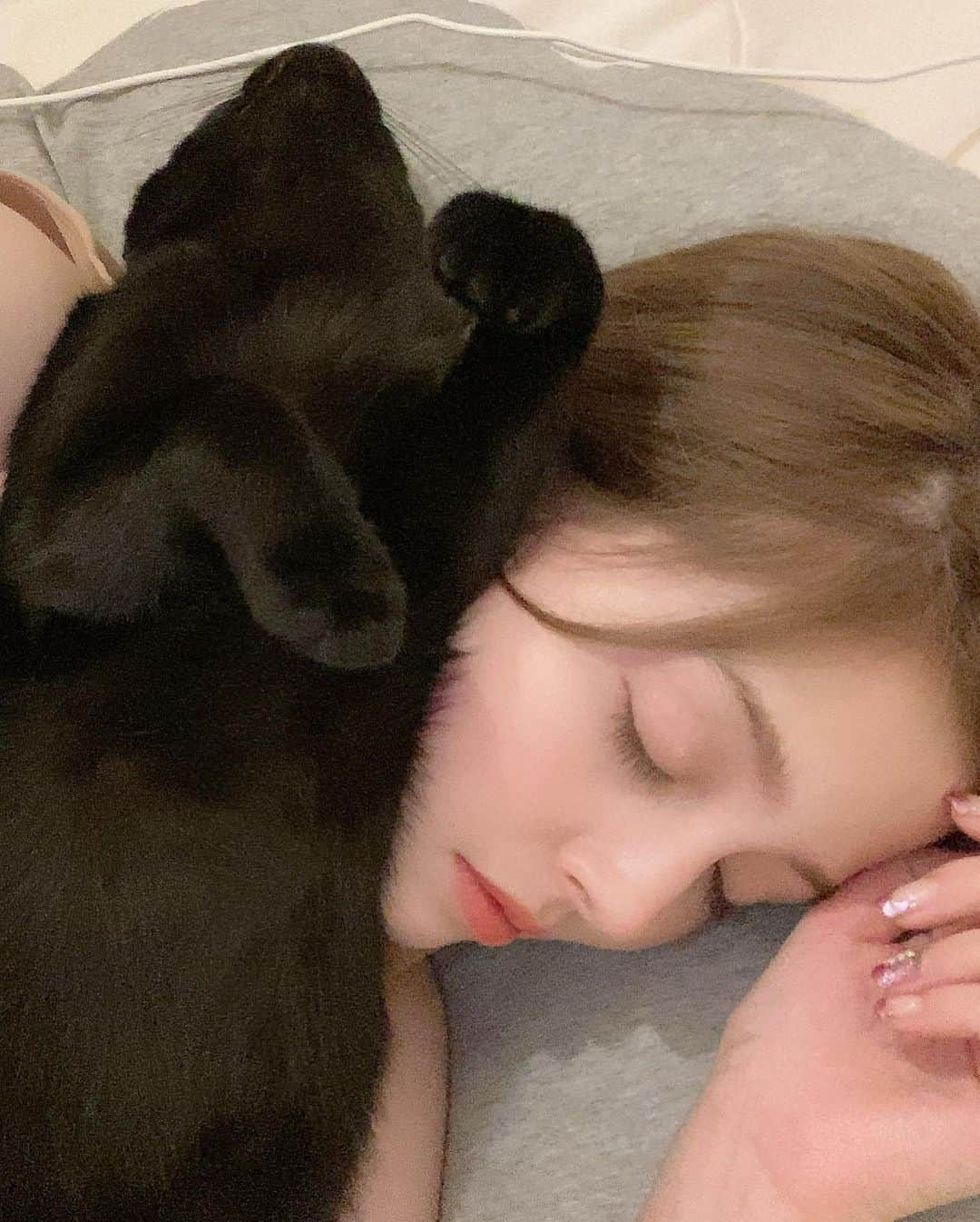 加藤ナナさんのインスタグラム写真 - (加藤ナナInstagram)「ねろ氏の定位置🐱長い #黒猫感謝の日」8月17日 20時00分 - katouchan