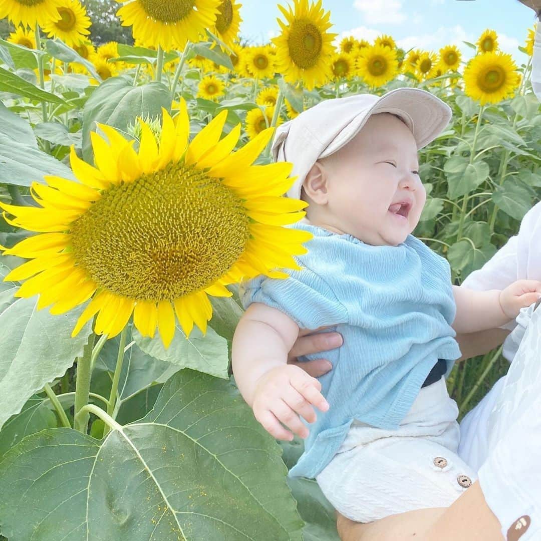 ままのてさんのインスタグラム写真 - (ままのてInstagram)「.⠀ 【天使の笑顔🌻🤗】⠀ .⠀ .⠀ #ままのて⠀ .⠀ ひまわりに囲まれて最高の笑顔😊✨⠀ かわいすぎて胸きゅんですね🥰💕⠀ .⠀ #生後6ヶ月⠀ #ひまわり⠀ .⠀ .⠀ @hinan_o26 様の投稿です。⠀ 素敵なお写真ありがとうございました💝⠀ .⠀ .⠀ 〈mamanote_officialのオリジナルキャンペーンへ参加しよう♡〉⠀ .⠀ お子様のかわいい動画、写真 ▶︎【 #ままのて 】⠀ @mamanote_official をフォローして、 投稿する動画や写真に合ったオリジナルハッシュタグをできるだけ多くつけて、インスタグラムにアップしてみましょう！⠀ .⠀ .⠀ 毎日、担当者が投稿をチェックして、素敵な写真と動画をピックアップして、公式アカウントで紹介します❤️⠀ .⠀ そして！！毎月、ハッシュタグごとに、@mamanote_official がピックアップした写真の中で1番｢いいね｣の多い方に、アマゾンギフト券3000円分プレゼント！当選者にはDMを送らせていただきます♡⠀ .⠀ また、動画や写真は、ままのてのFacebook、 またはウェブサイト 「ままのて」内の記事で紹介させていただきます🙌⠀ .⠀ .⠀ #赤ちゃん#ママタイム#ベビスタグラム#令和ベビー#プレゼント#キャンペーン#キッズモデル#モニター#ベビーモデル#新米ママ#成長記録#子育て#育児ママカメラ#ママ撮#スマイル育児#こどもと暮らす#子育て記録#育児記録 #お出かけ#親バカ部#赤ちゃんのいる生活#天使の笑顔#ひまわり畑」8月17日 20時13分 - mamanote_official