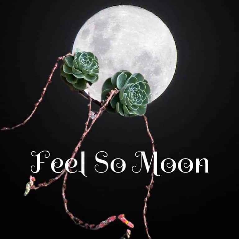 魔女菅原のグルメインスタ