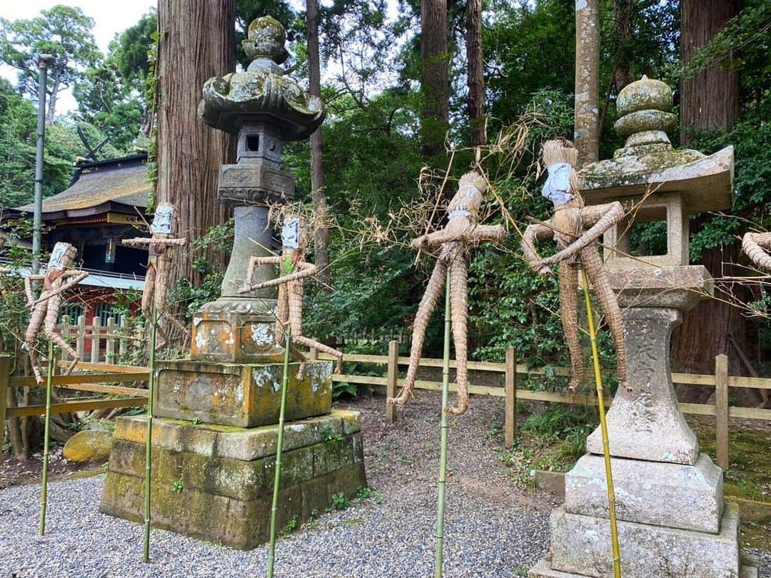 真奈さんのインスタグラム写真 - (真奈Instagram)「. 地方に行くと行ける限り 神社に行くんです⛩ とっても好きで 御朱印も集めてて …んで今回は御朱印をどこかに 忘れて来てしまいました。 必ず迎えに行きます（笑）」8月17日 20時30分 - manatmnt0116