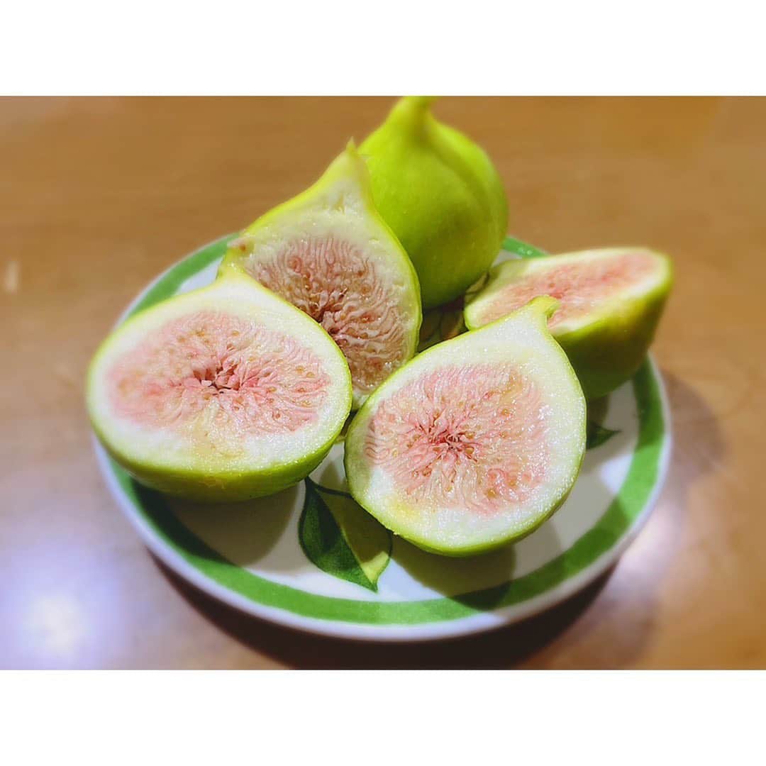 尾島早都樹のインスタグラム：「高岡市福岡町で特産化をすすめている 小粒イチジクの『コナドリア』ちゃん。 . キミドリ色だけどこれでもう完熟！ しかも、 スイカよりもあま〜〜〜い！ さらになんと、 皮ごと食べられるんです🦖💗 . 入社した頃から お世話になっている農家さんのところへ 買いに行きました👨🏼‍🌾♡ . . #チューリップテレビ #アナウンサー #N6 #イチジク #いちじく #無花果 #コナドリア #福岡町 #あまーい！」