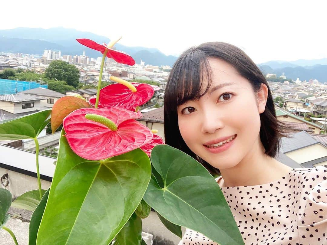 菅原智郁さんのインスタグラム写真 - (菅原智郁Instagram)「今週の花は #アンセリウム ( #アンスリウム ) 南国っぽい雰囲気漂う花です🌺 . 今週も暑い日が続くので、 体調管理に気をつけましょう！ 明日も天気予報見てください💓 . . 最近自撮りばっかり載せてる！笑 他撮り写真が欲しい😂  でもインスタを投稿してみんなに見てもらうことが大事だと思っている😂 . #山形 #ゴジダス #天気予報 #山形テレビ #アナウンサー #菅原智郁   @hana.kajuaru」8月17日 21時44分 - tomotomokaaaa22