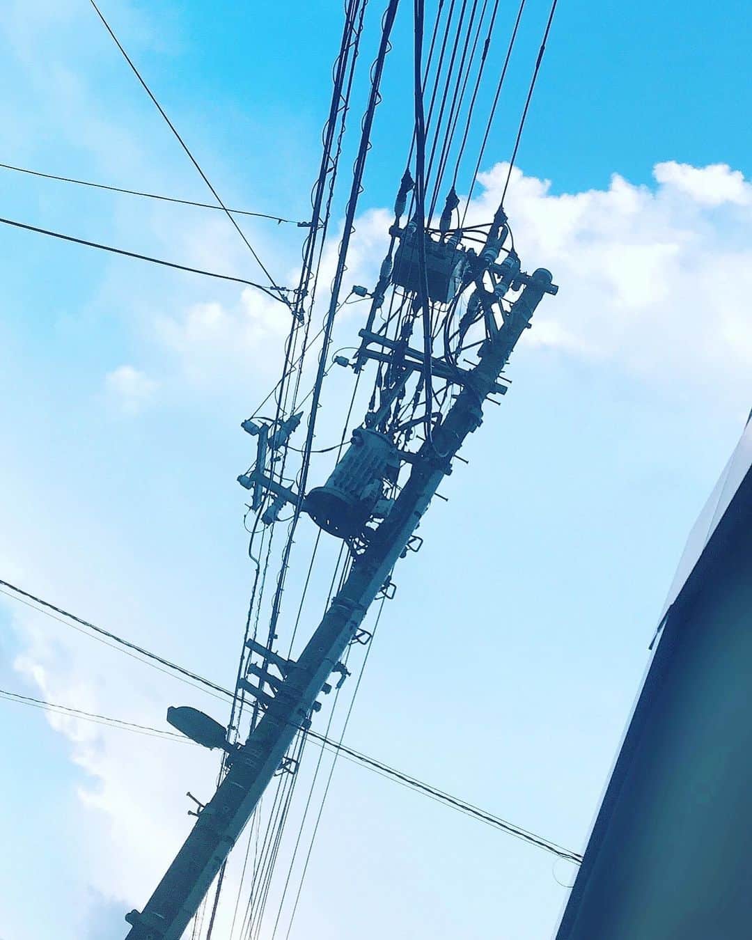 田上真里奈のインスタグラム：「本日もいい電線である。」