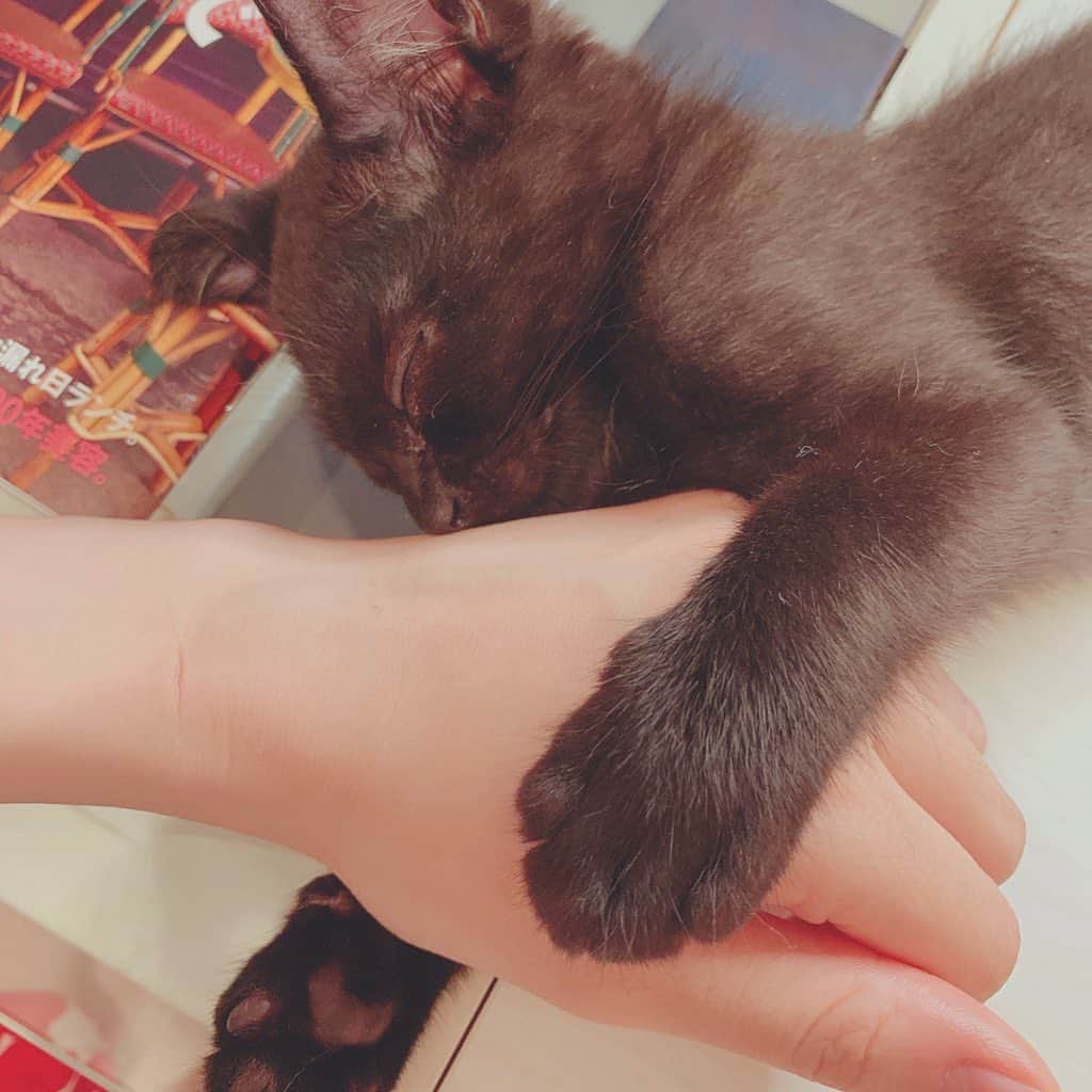 のインスタグラム：「黒猫が横切ると…なんて変な迷信から 貰い手が付きづらい黒猫たちに 新しい家族を作るために始まった 黒猫感謝の日なんだって🐱 うちのクロスケも保護猫ちゃん。 可愛いよぉ〜♡ 世界中の黒猫ちゃん 幸せになりますように。  #クロスケ  #黒猫  #catstagram #cat #catsofinstagram #blackcat #cute #猫 #ねこすたぐらむ  #黒猫感謝の日 #黒ネコ感謝の日  #blackcatappreciationday」